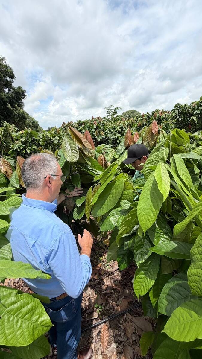 Novagric Campo