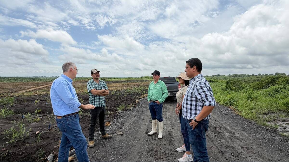 Novagric Campo