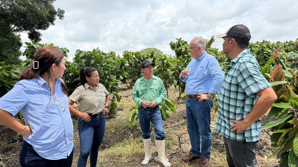 Novagric Campo