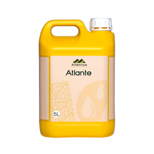ATLANTE