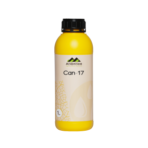 CAN-17