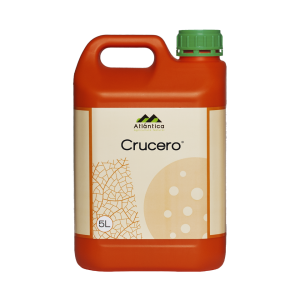 Crucero
