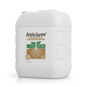 INICIUM®