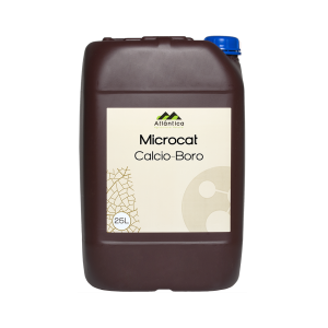 Microcat calcio-boro