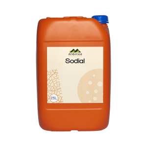 Sodial